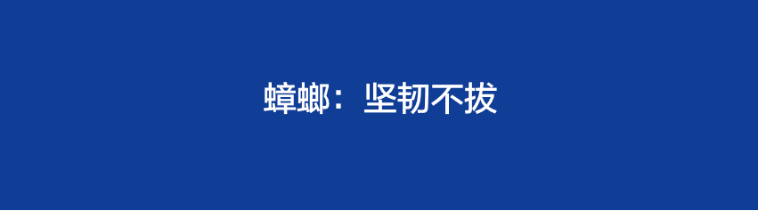 销售需要的能力(销售的四种能力)