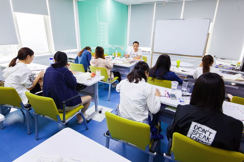 外语培训机构市场销售分析怎么写(市场分析怎么写)