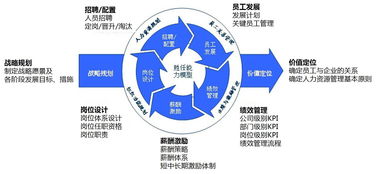 如何进行人力资源业务销售培训内容(人力资源培训流程)