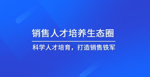 销售型企业如何培训(销售培训内容)