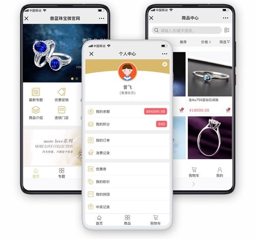 傲蓝珠宝销售管理软件如何使用(珠宝店用手机开单怎样可以将数据上传到电脑?)
