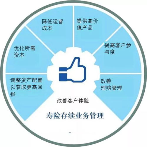 如何管理保险公司销售团队(保险公司营销团队建设方案)