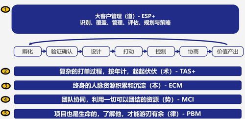 如何实现大客户销售管理(如何做好大客户管理)