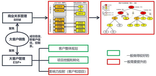 如何管理大客户销售团队(如何管理带领销售团队？)