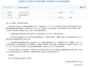 <b>喜报丨赛思云入选湖北省创新型中小企业名录</b>