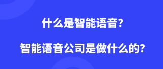 什么是智能语音？智能语音公司是做什么的？