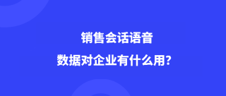 销售会话语音数据对企业有什么用？